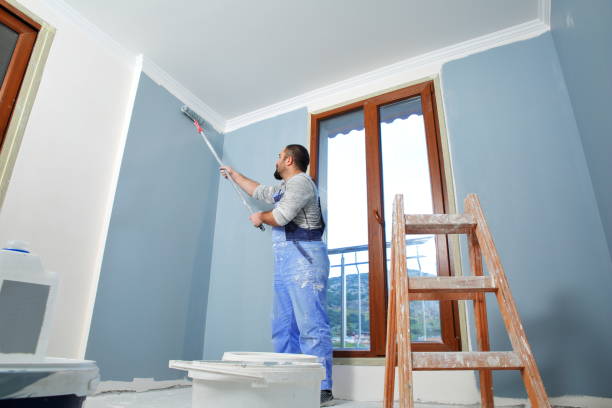 Best Mold Remediation for Healthcare Facilities  in Fulton, MO