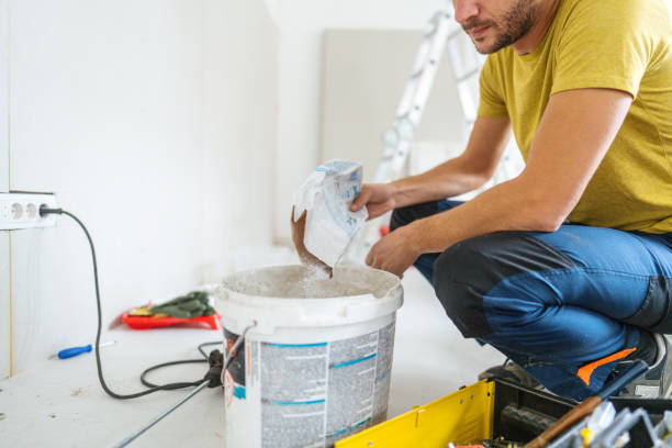 Best Basement Mold Removal  in Fulton, MO