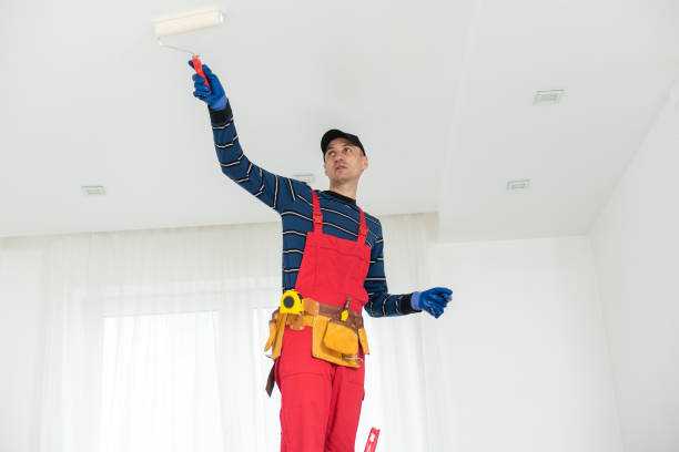 Best HVAC Mold Inspection and Cleaning  in Fulton, MO