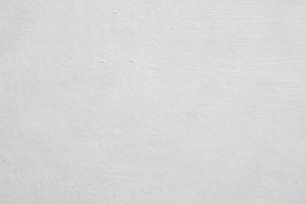 Trusted Fulton, MO Mold Removal Experts